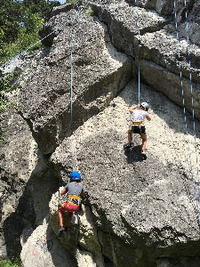 Img-7941